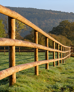 Koppelzäune<br/>& Tore