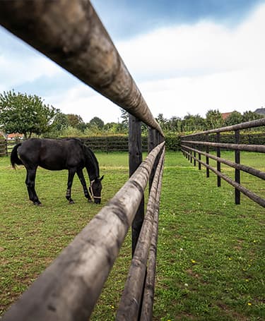 Fences<br/>& Gates