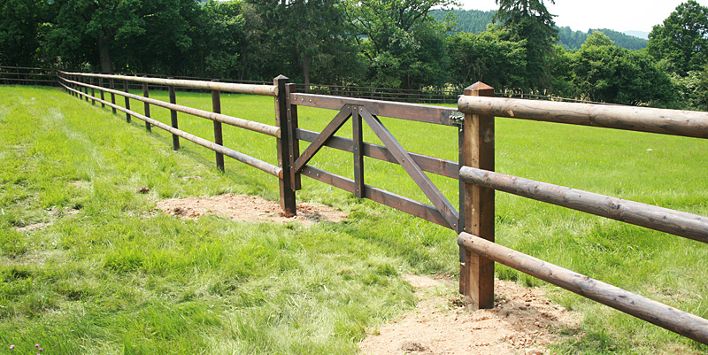 cloture equestre