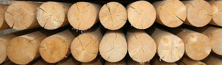 hout