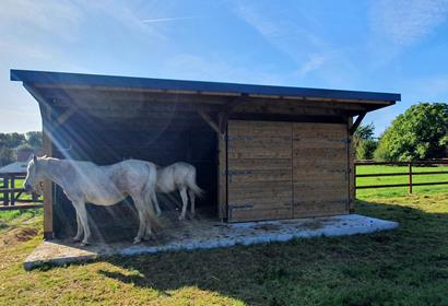 Animal shelters - Wood Construction & Joinery