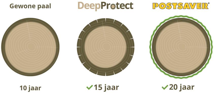 DeepProtect - Postsaver