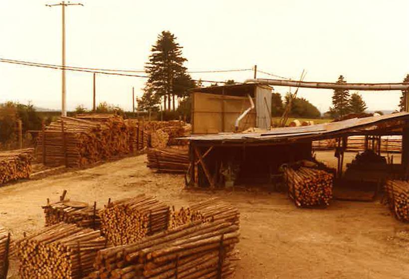 Années 1980 : extension et efficacité énergétique