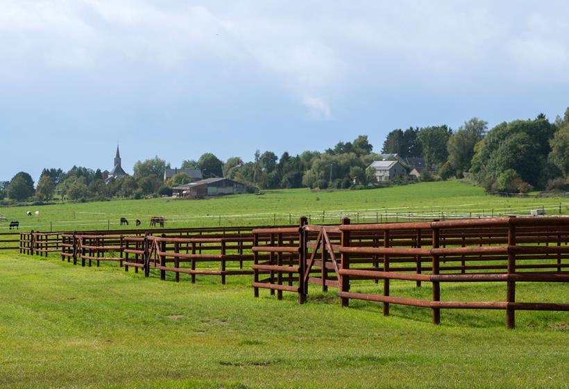 Années 2010 : expansion et développement durable