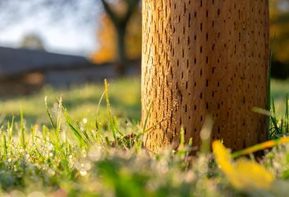 Coup de projecteur sur le développement durable, la qualité et l’avenir