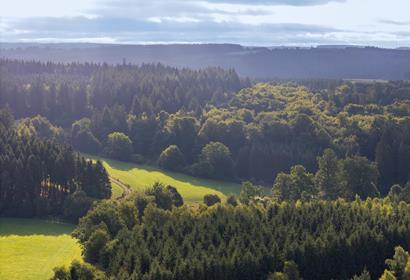 Coup de projecteur sur le développement durable, la qualité et l’avenir