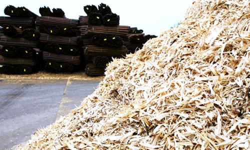 holz - Ökologie - Unternehmen