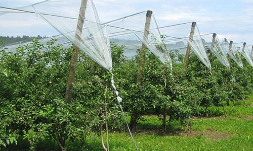 DURAPost - Fruitteelt - Palen voor Fruit- & Wijnteelt