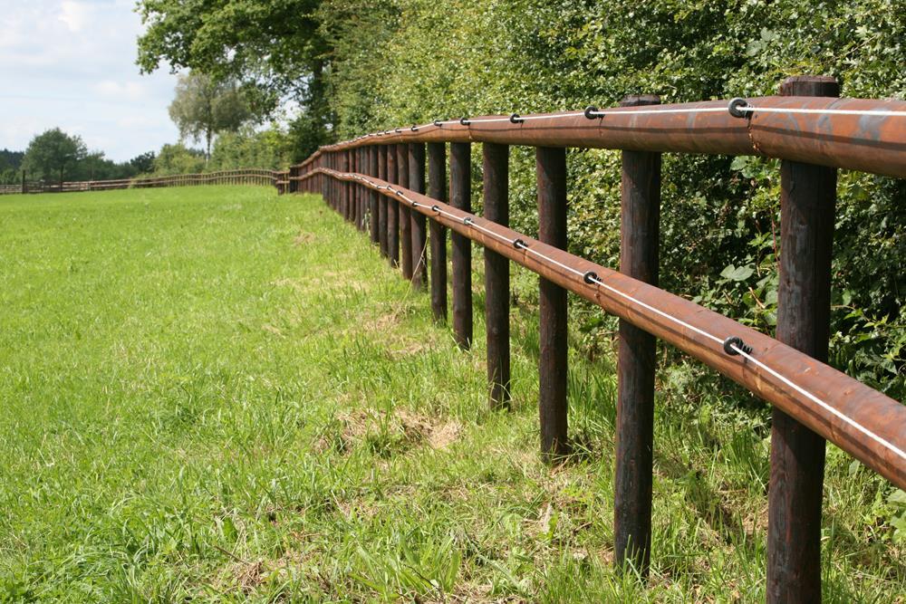 Electric or wooden horse fencing? Advantages and disadvantages